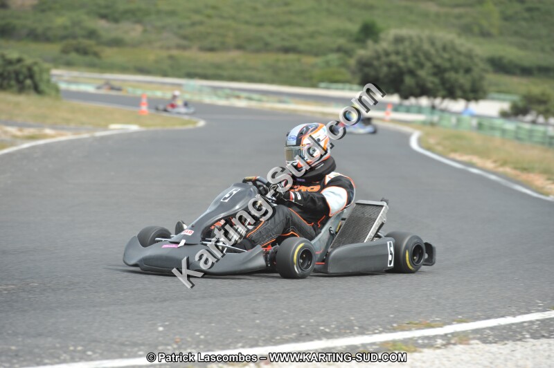 DSC (3542).JPG